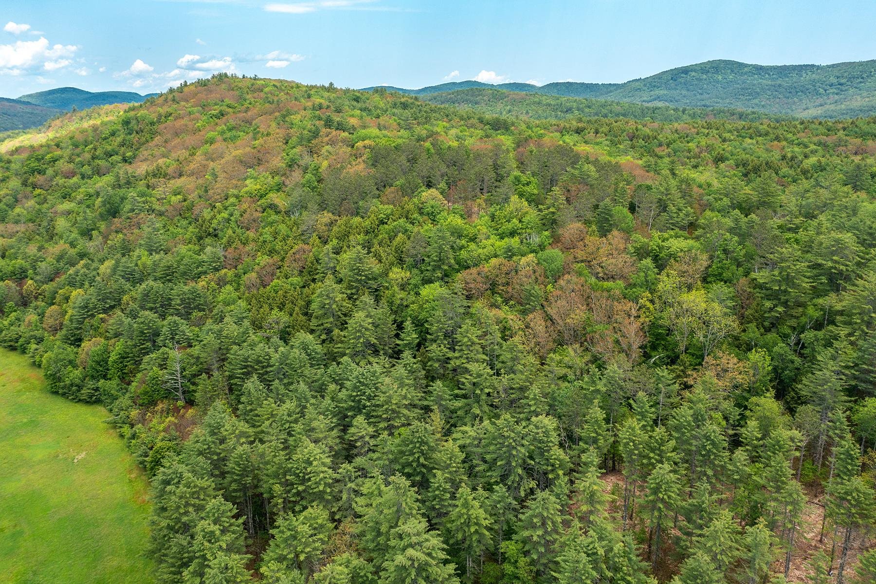 702 Middlebrook Road West Fairlee, VT 05045 - Photo 40 of 40