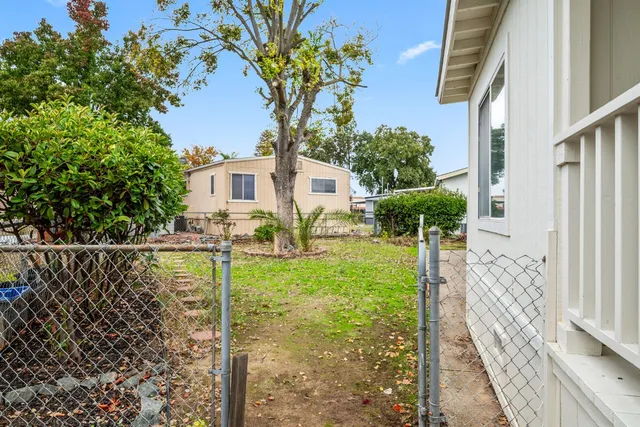 a view of backyard with potted plants and large tree