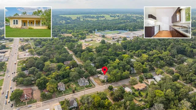 a view of a garden from a window