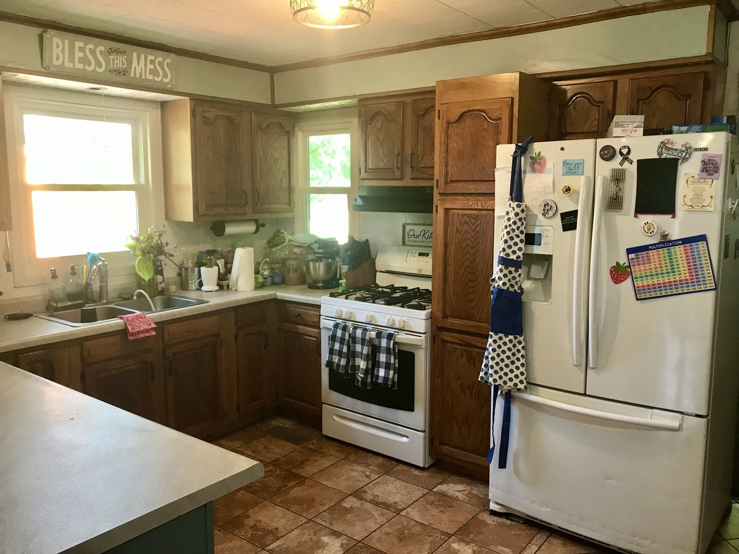406 Mill Street Buda, IL 61314 - Photo 11 of 28 Gallery Image 11
