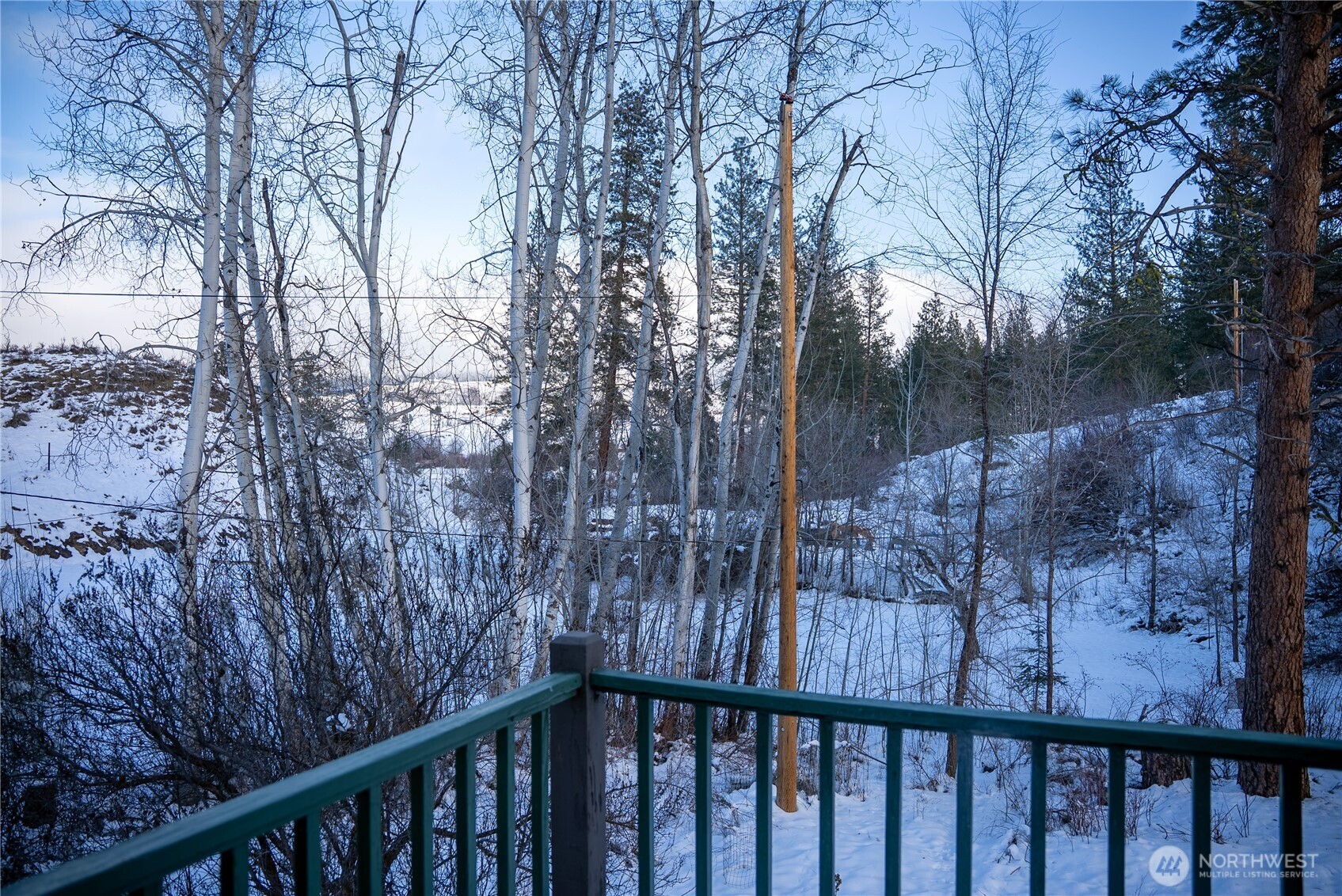 146 East Chewuch Road Winthrop, WA 98862 - Photo 35 of 38 a view of a forest from a balcony