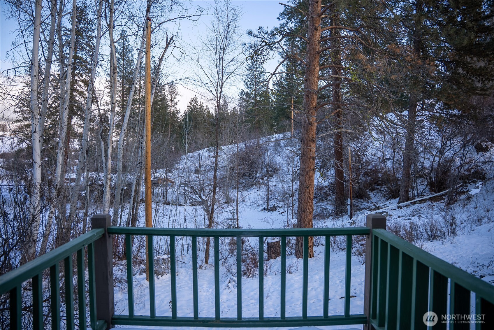 146 East Chewuch Road Winthrop, WA 98862 - Photo 36 of 38 a view of a balcony with trees
