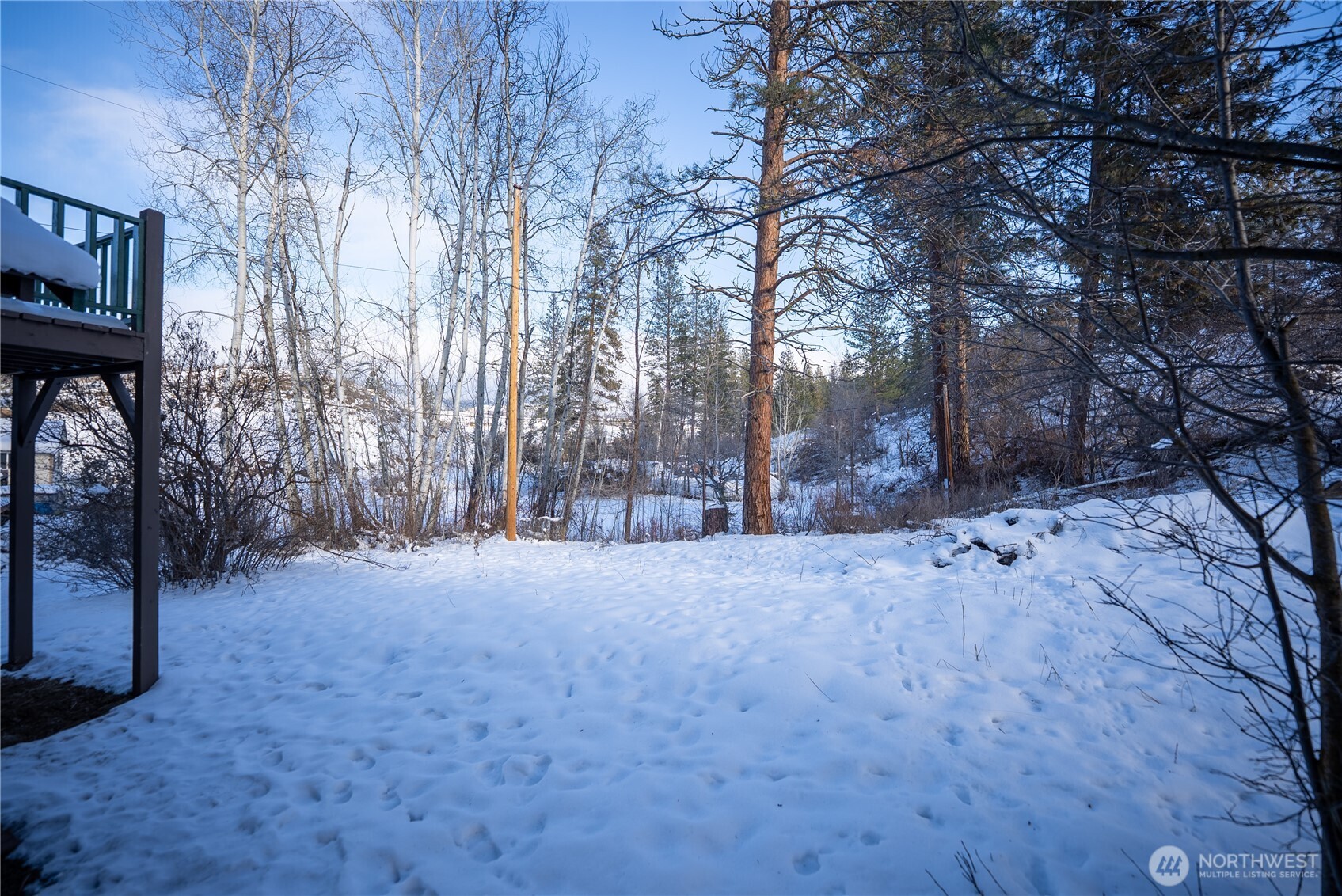 146 East Chewuch Road Winthrop, WA 98862 - Photo 37 of 38 a backyard of a house with trees
