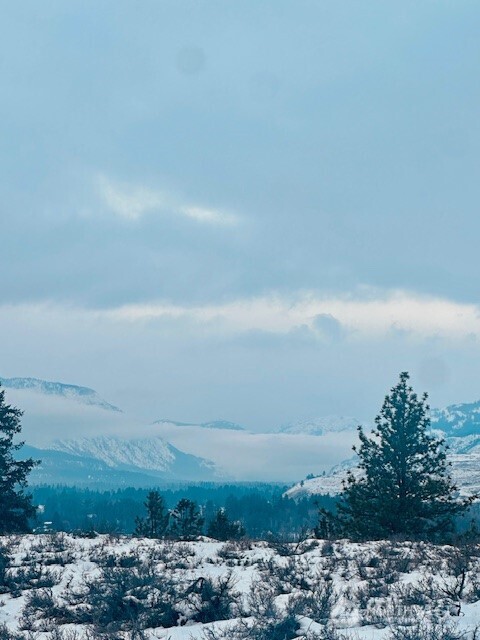 146 East Chewuch Road Winthrop, WA 98862 - Photo 38 of 38