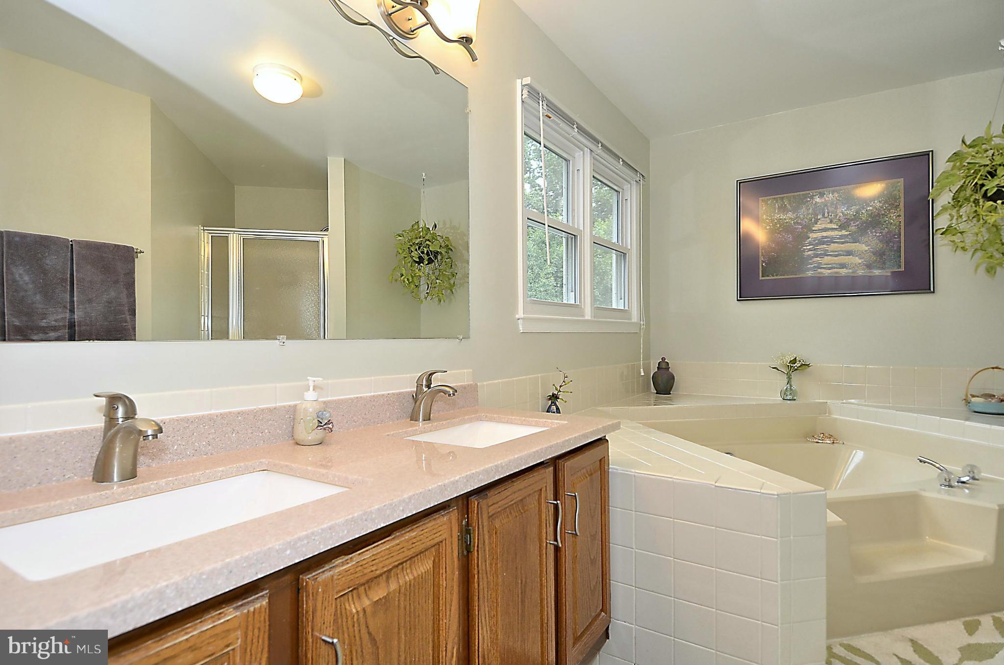 500 Ridgewell Way Silver Spring, MD 20902 - Photo 15 of 30 Bath (Master)