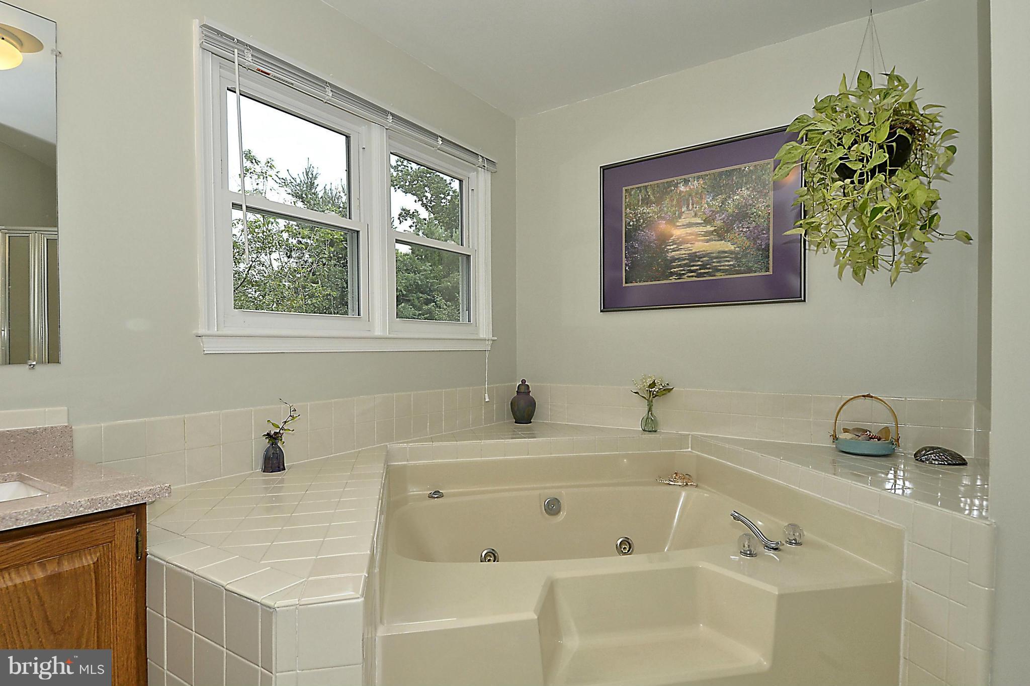 500 Ridgewell Way Silver Spring, MD 20902 - Photo 16 of 30 Bathtub in MBA