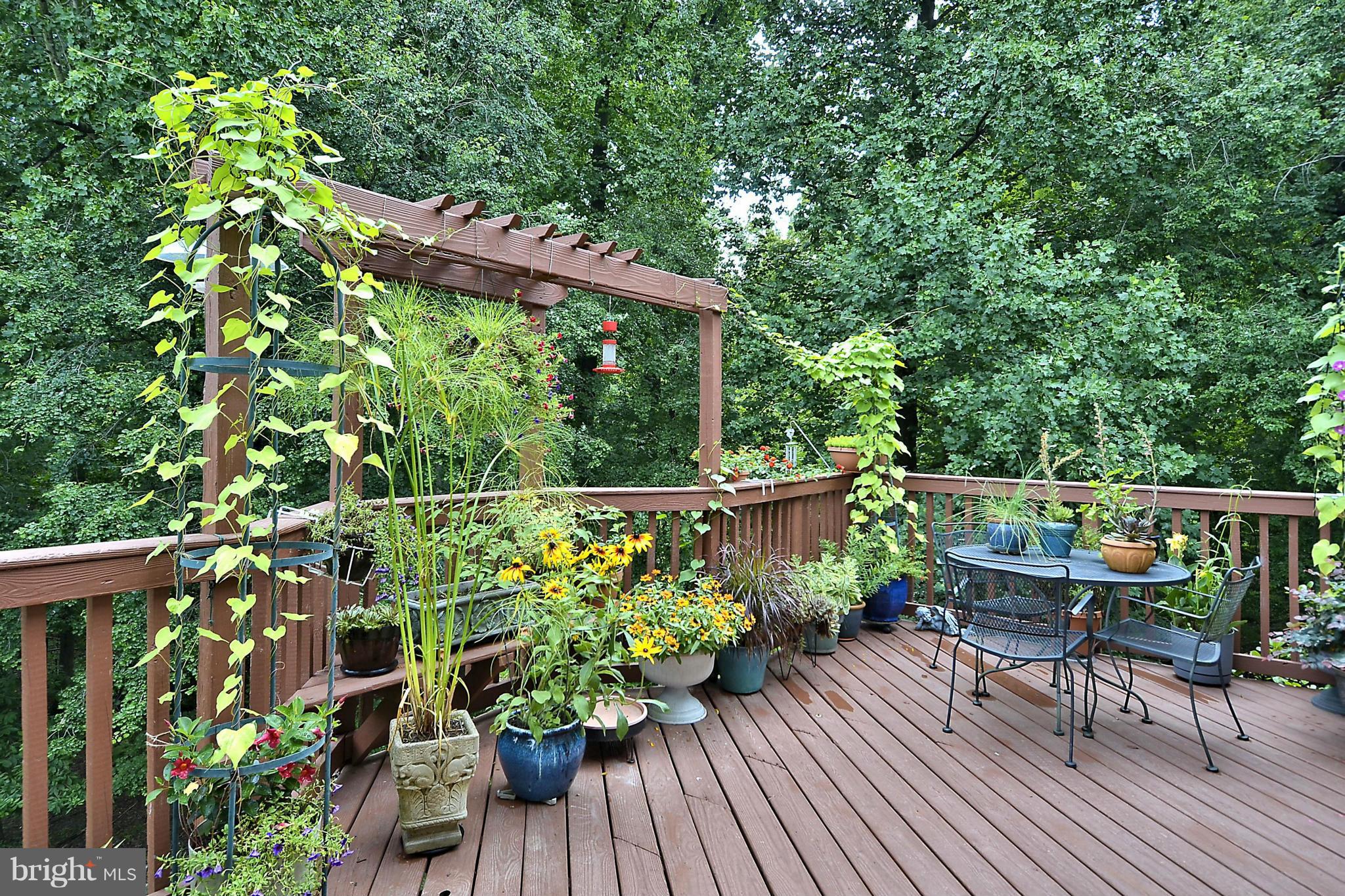 500 Ridgewell Way Silver Spring, MD 20902 - Photo 23 of 30 Deck