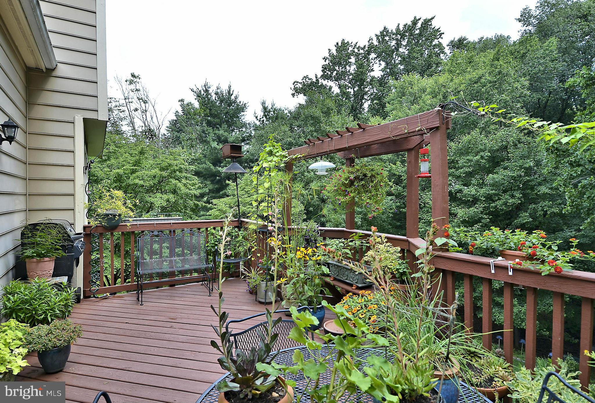 500 Ridgewell Way Silver Spring, MD 20902 - Photo 24 of 30 Deck