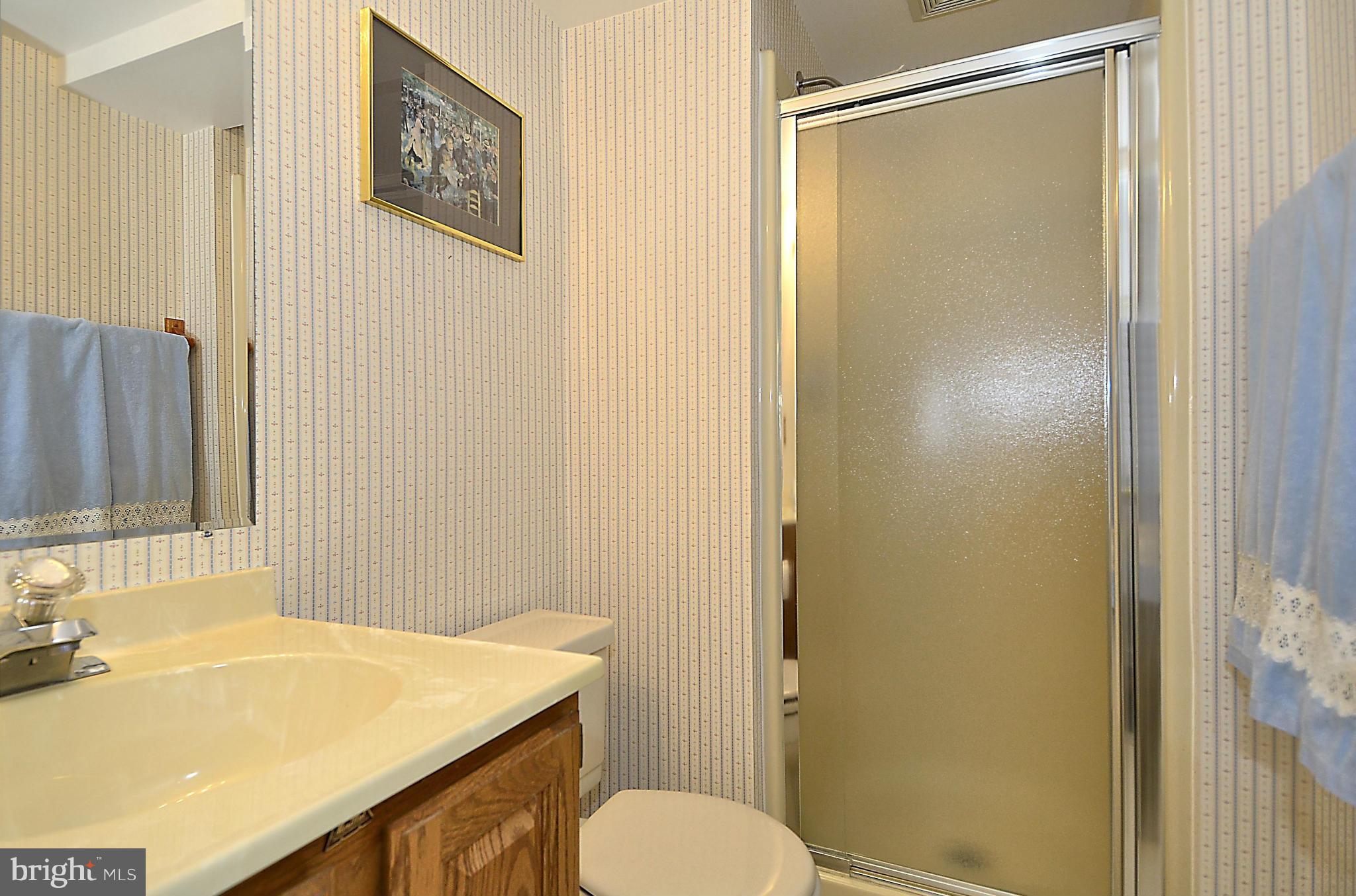 500 Ridgewell Way Silver Spring, MD 20902 - Photo 25 of 30 Bath in Lower Level