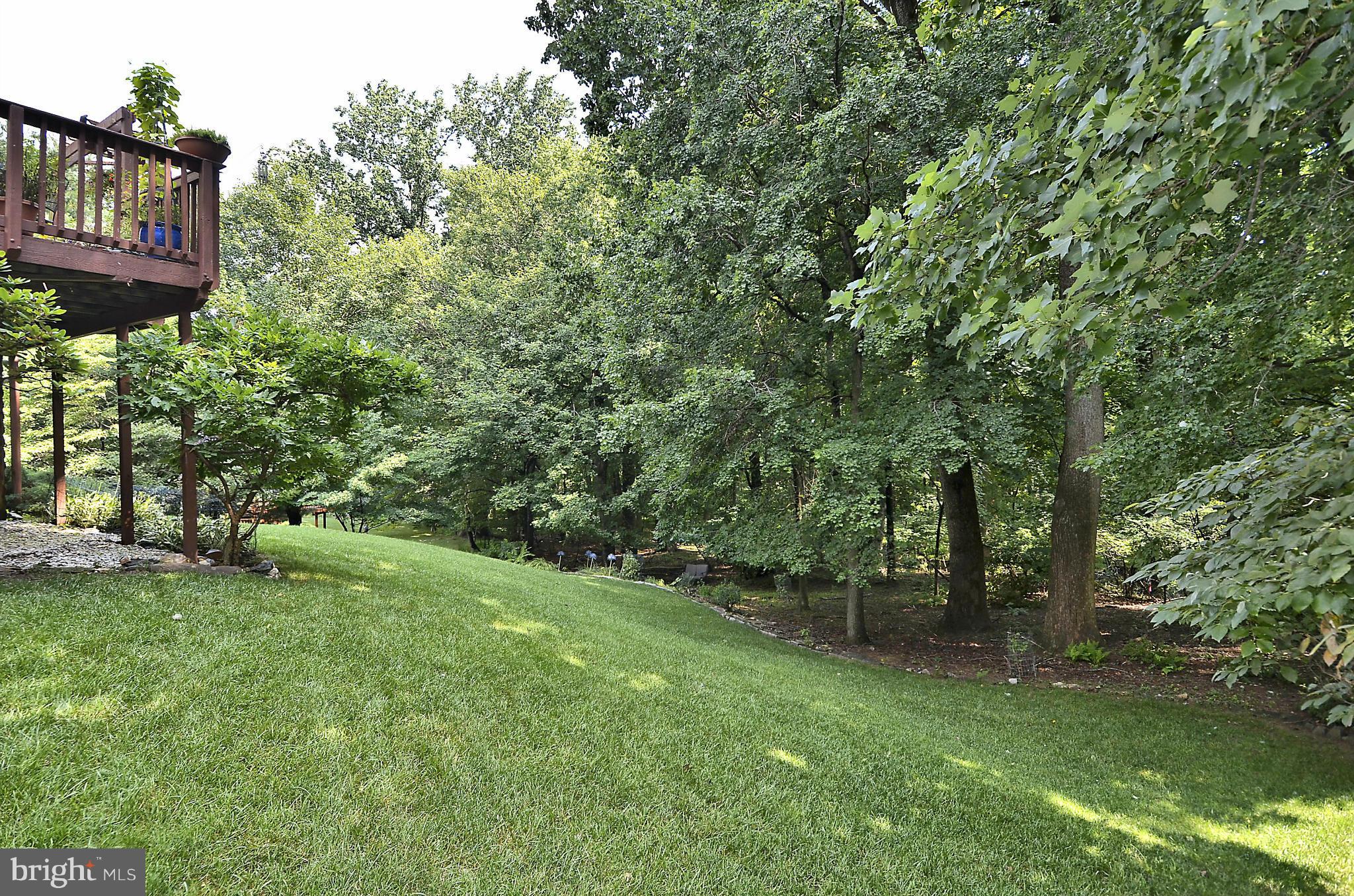 500 Ridgewell Way Silver Spring, MD 20902 - Photo 28 of 30 Back Yard