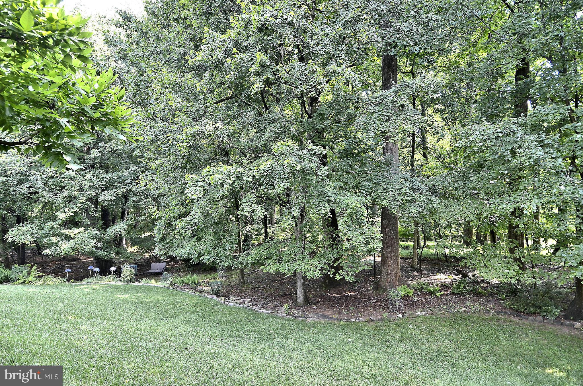 500 Ridgewell Way Silver Spring, MD 20902 - Photo 29 of 30 View from Back