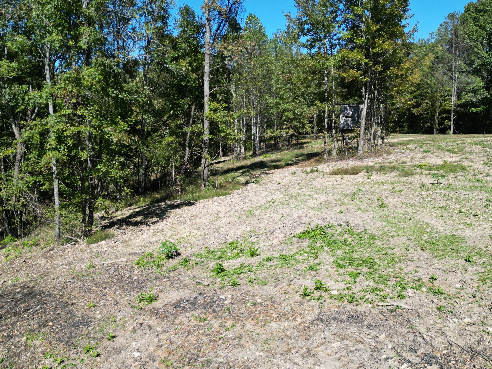 2 T Gunter Hollow Road Pulaski, TN 38478 - Photo 1 of 16