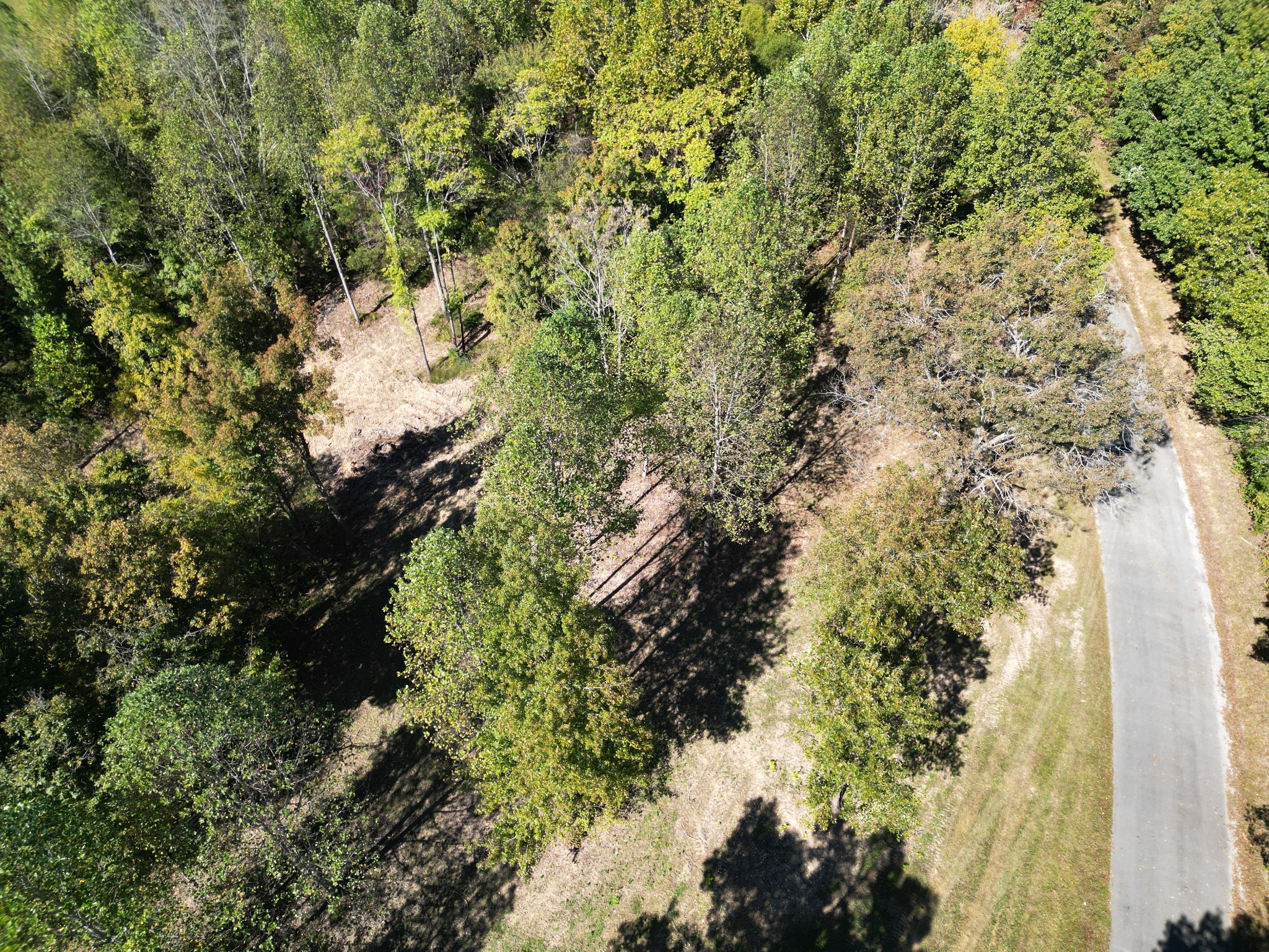 2 T Gunter Hollow Road Pulaski, TN 38478 - Photo 7 of 16