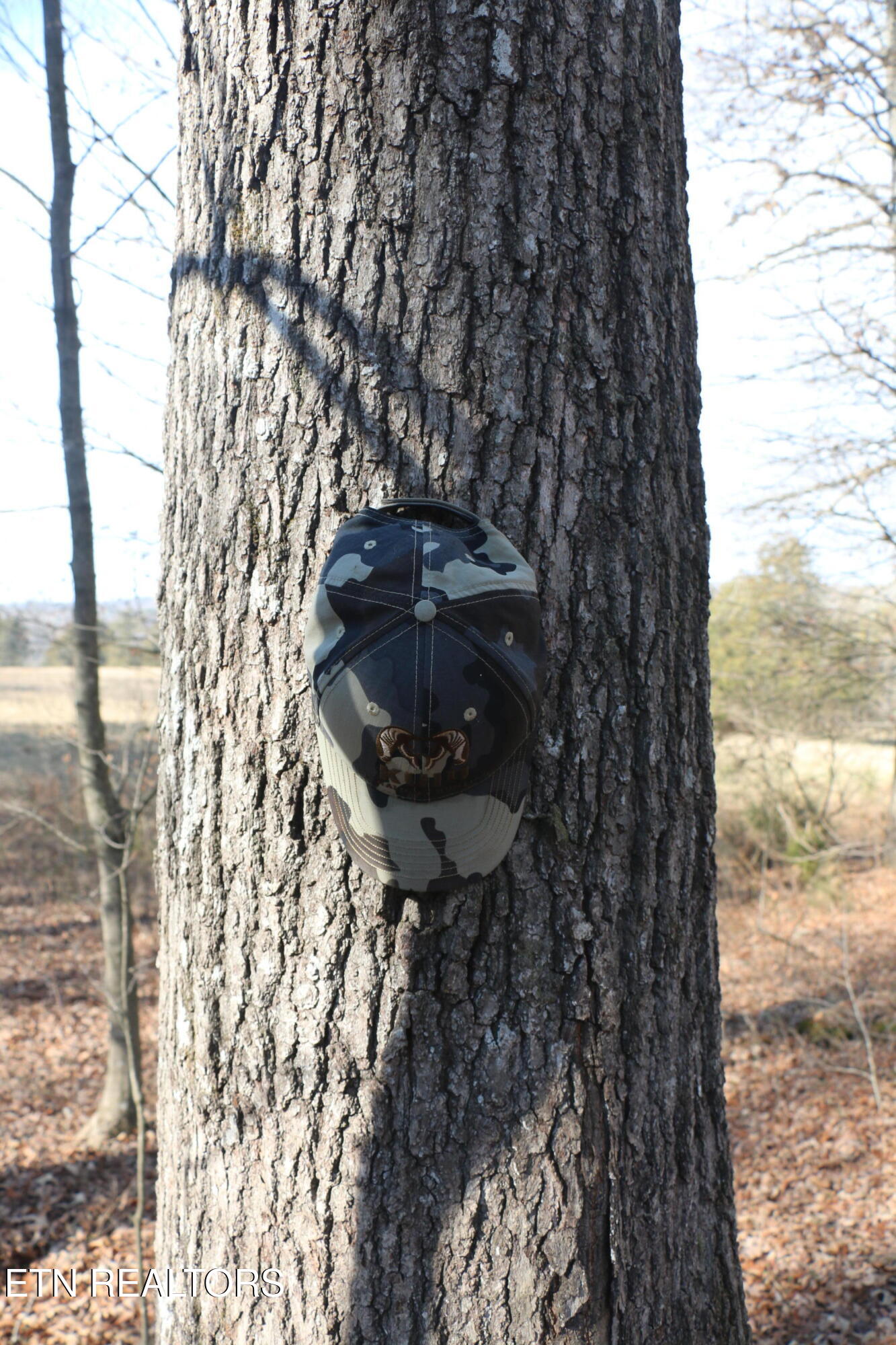 39 Highway 39 Athens, TN 37303 - Photo 12 of 25 IMG_8266