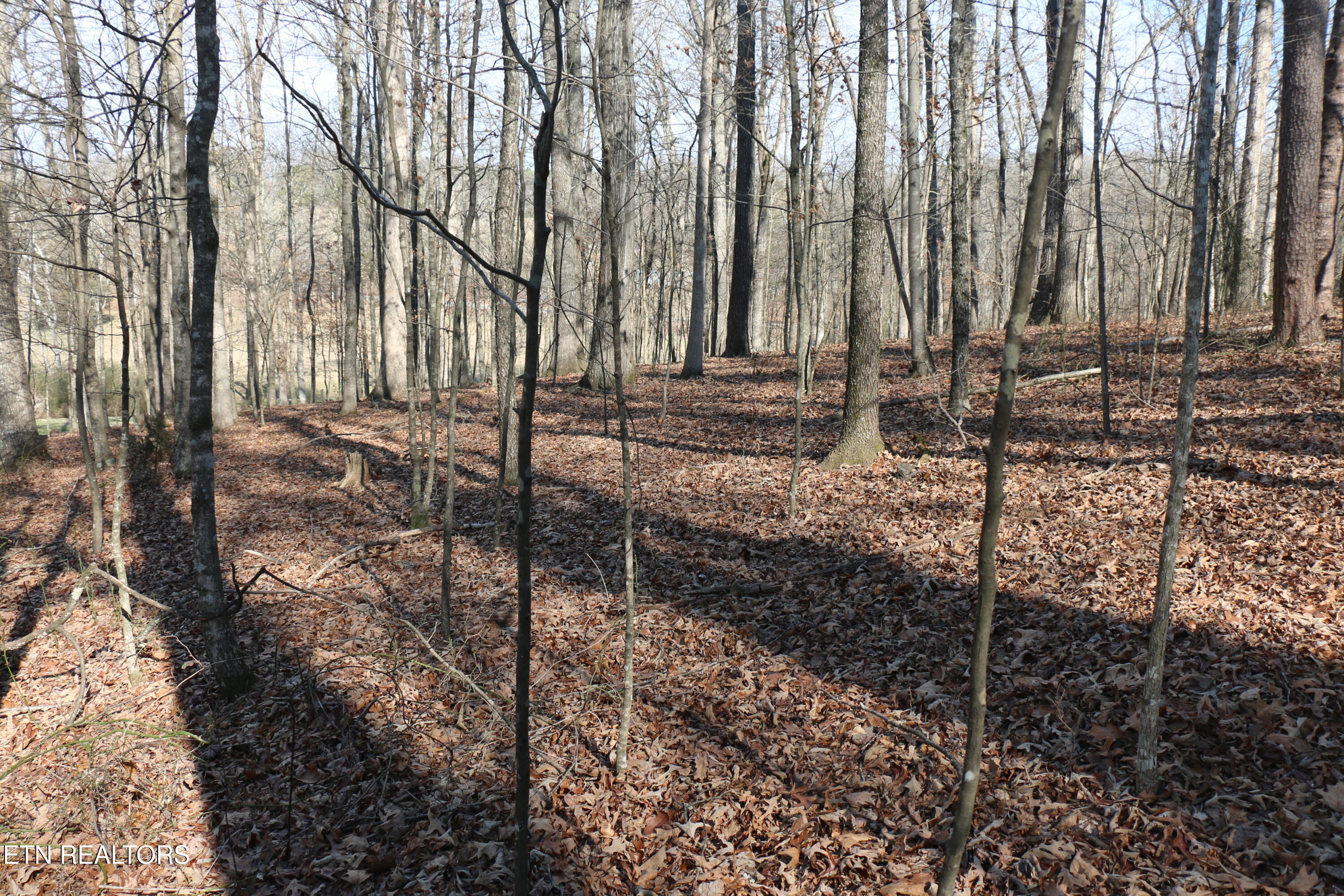 39 Highway 39 Athens, TN 37303 - Photo 13 of 25 IMG_8267