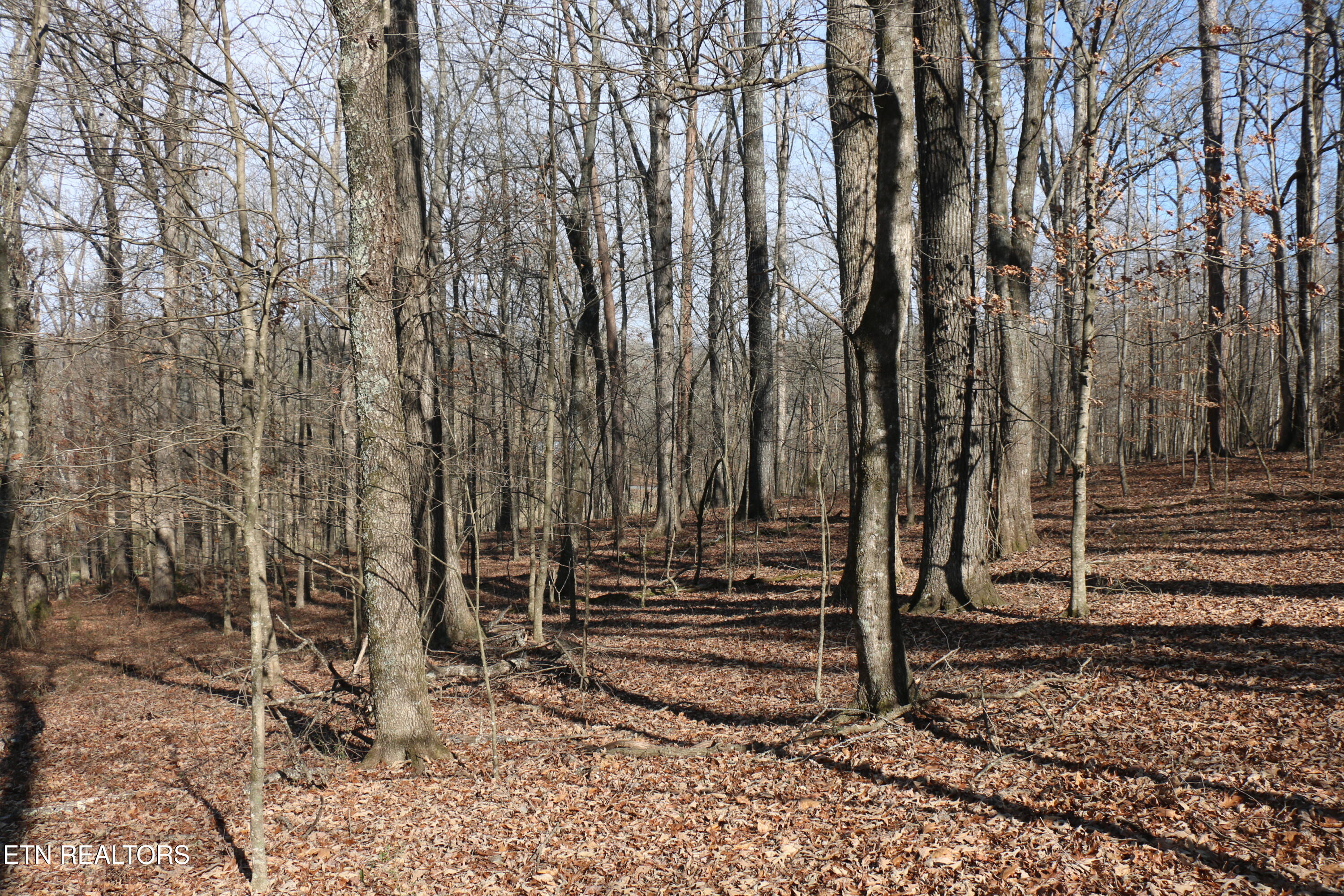 39 Highway 39 Athens, TN 37303 - Photo 14 of 25 IMG_8268