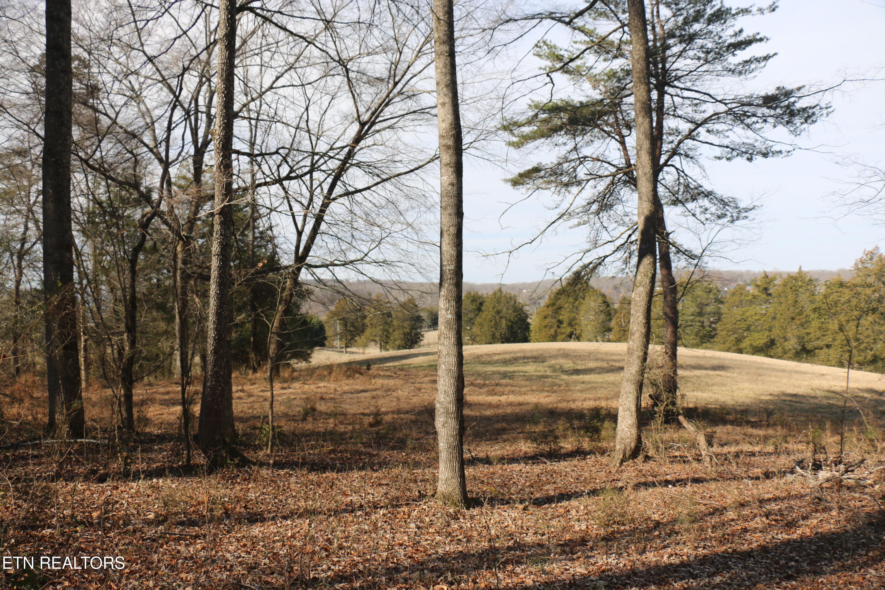 39 Highway 39 Athens, TN 37303 - Photo 16 of 25 IMG_8270