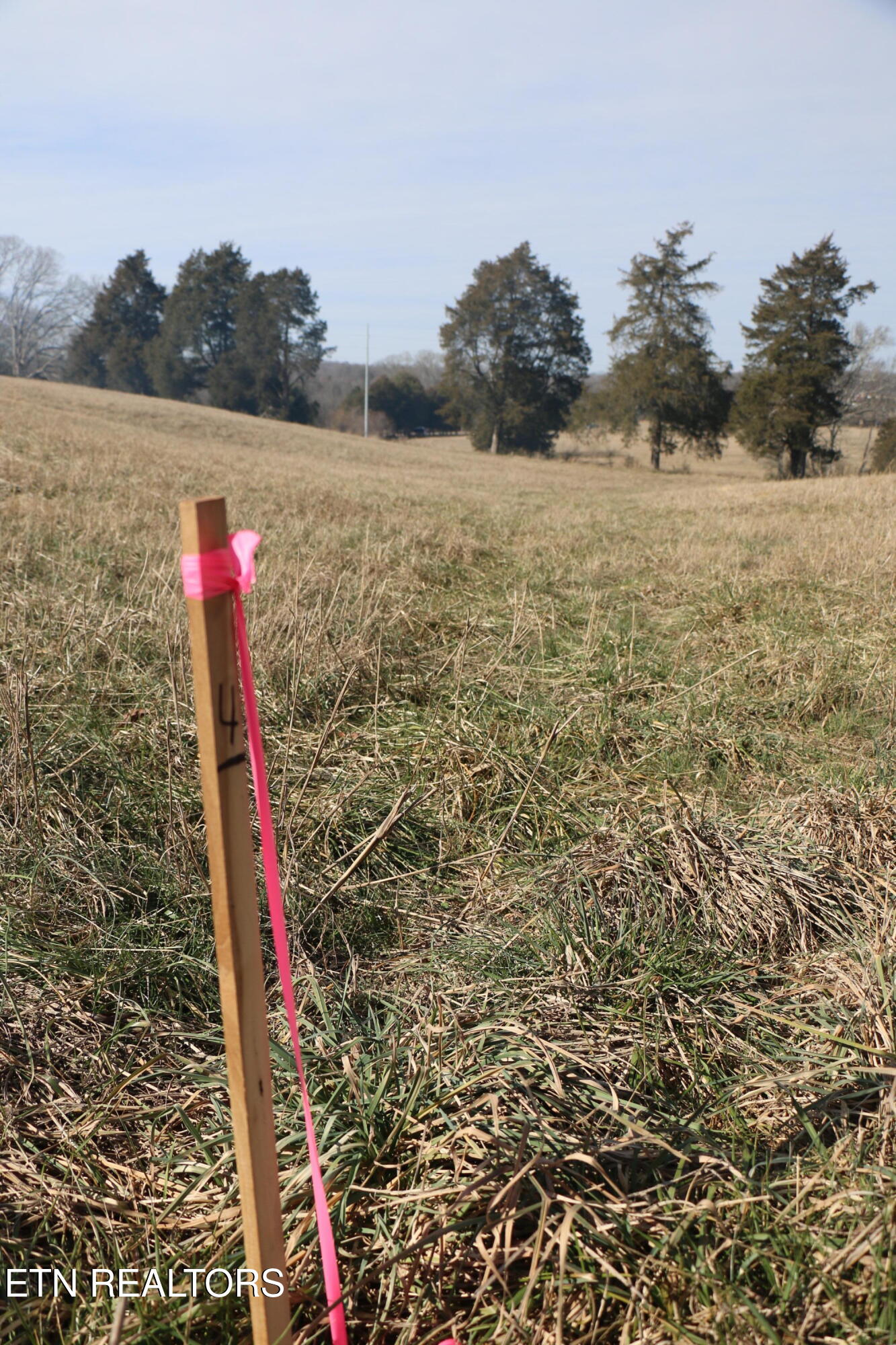 39 Highway 39 Athens, TN 37303 - Photo 17 of 25 IMG_8271