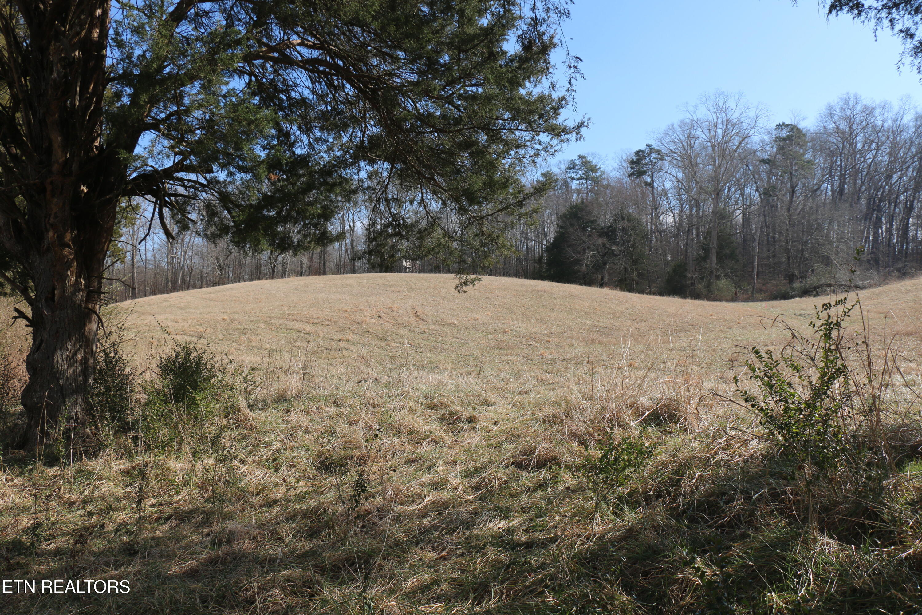 39 Highway 39 Athens, TN 37303 - Photo 18 of 25 IMG_8272