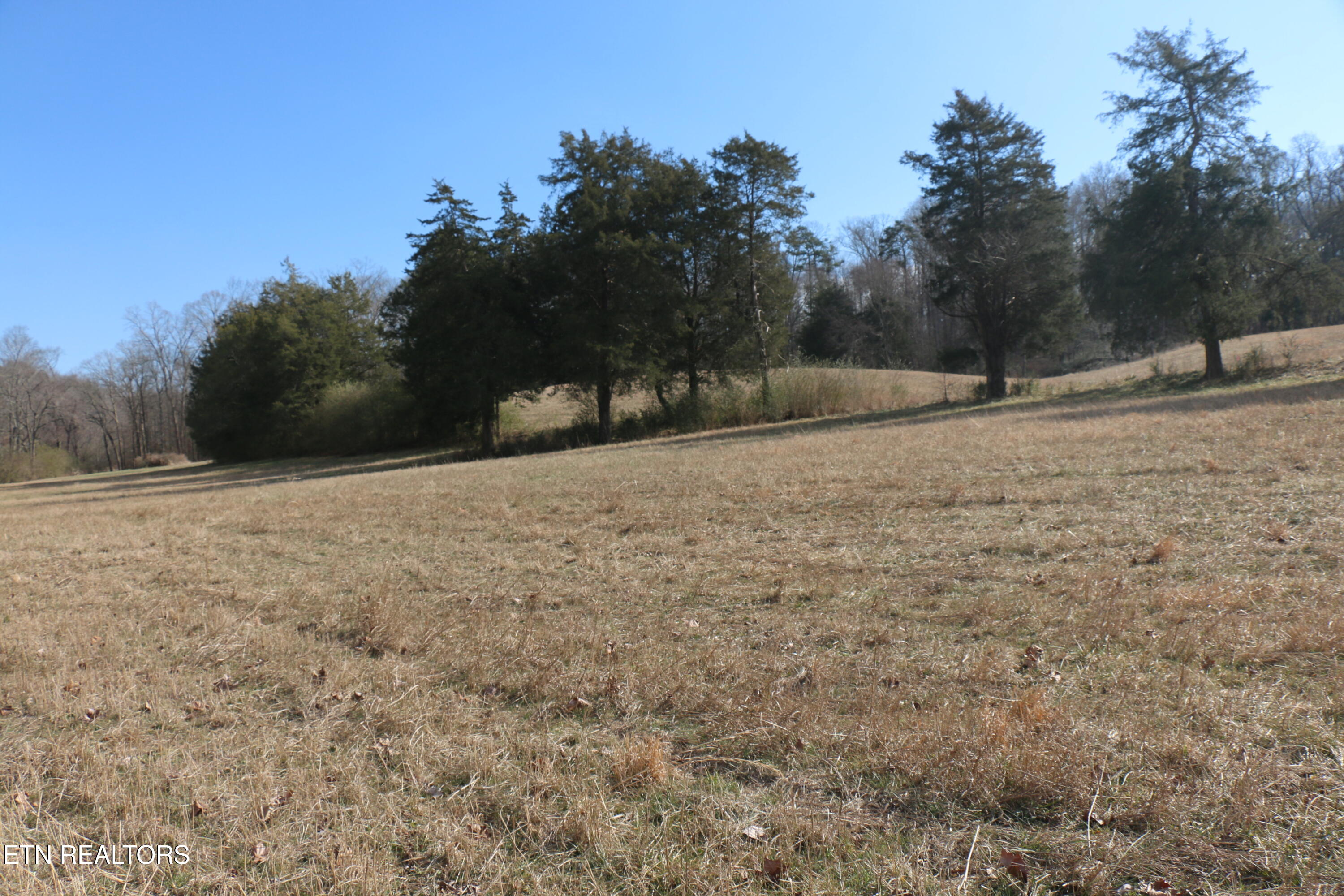 39 Highway 39 Athens, TN 37303 - Photo 19 of 25 IMG_8273