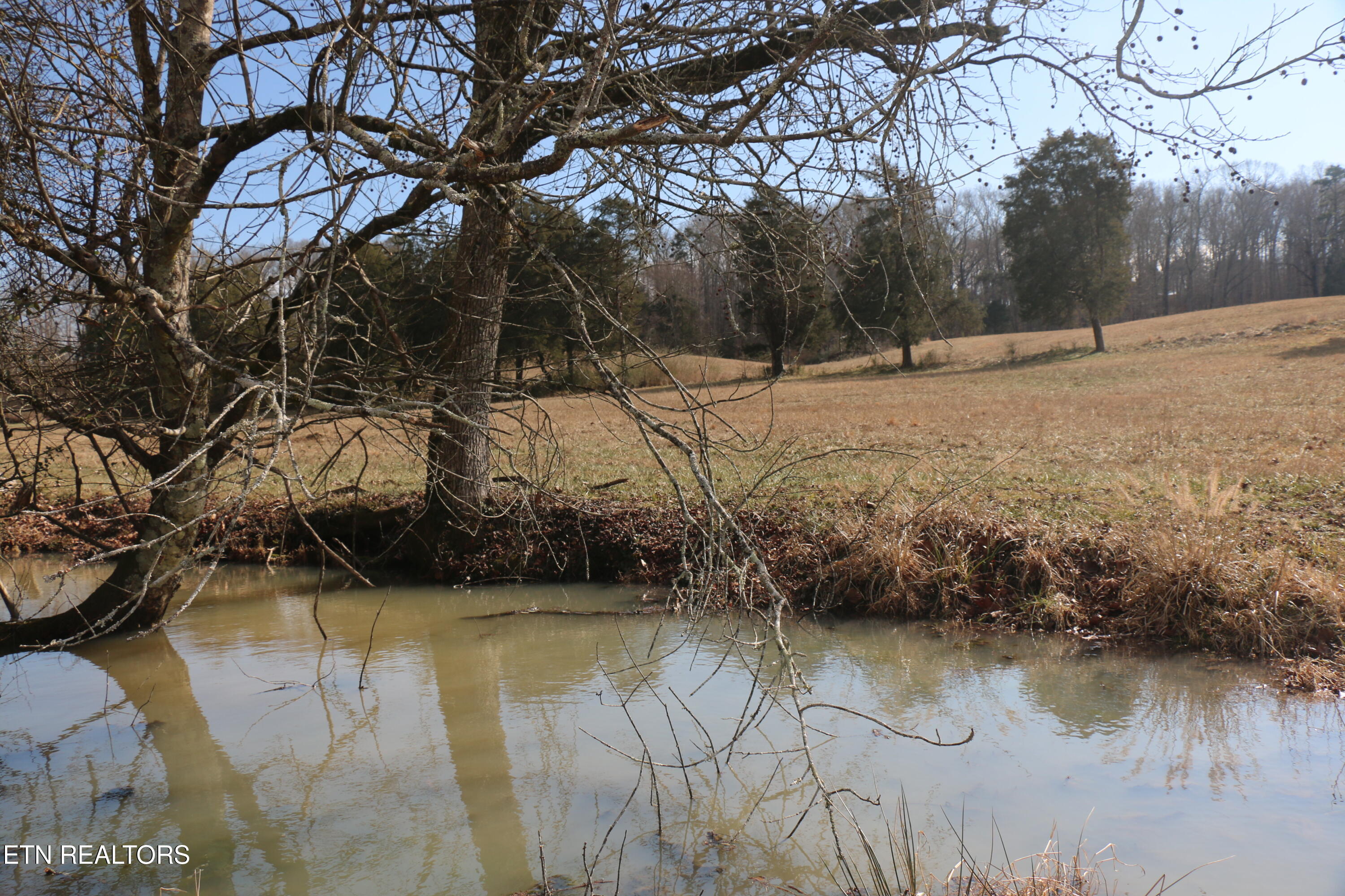 39 Highway 39 Athens, TN 37303 - Photo 21 of 25 IMG_8275