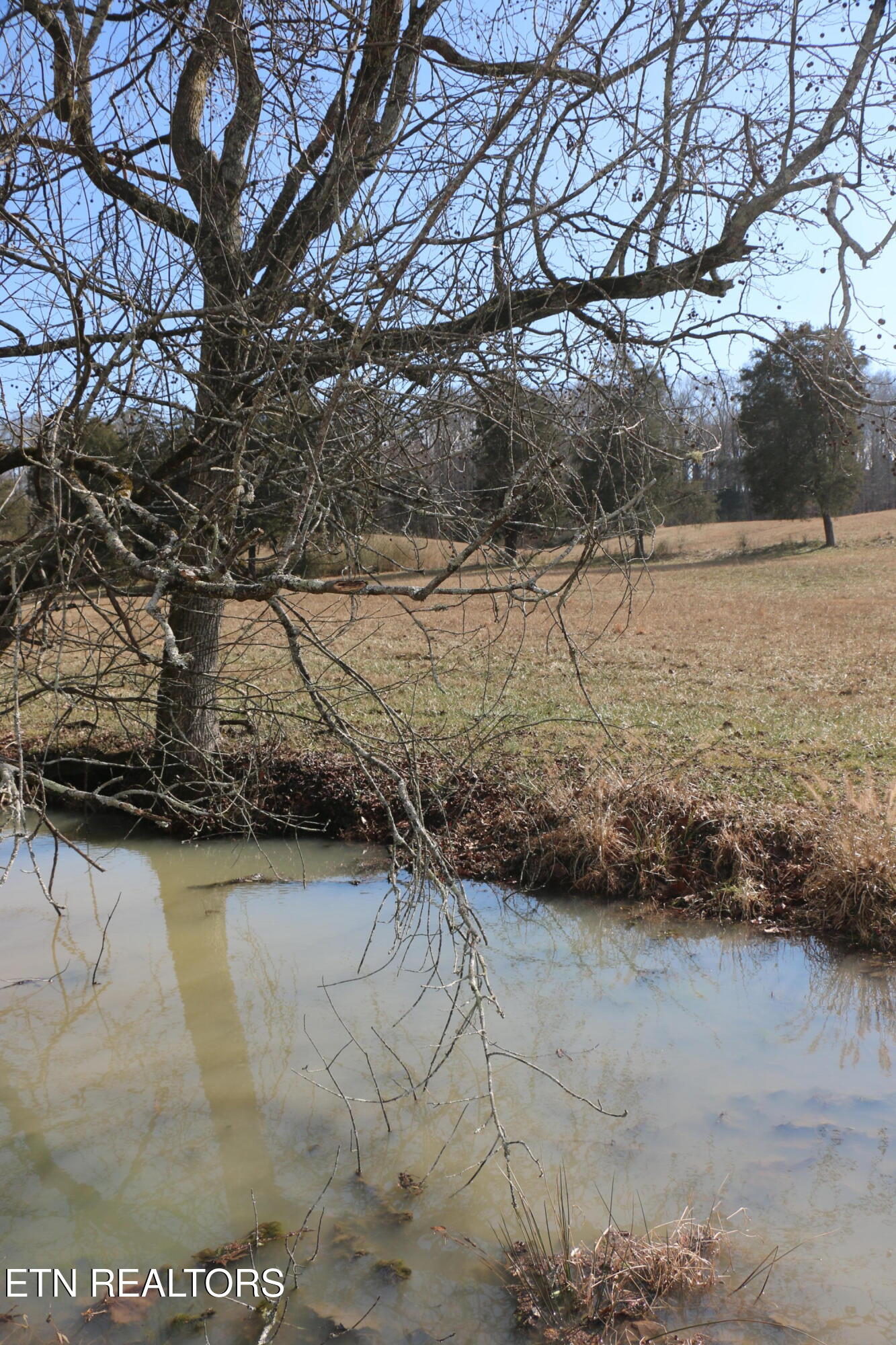 39 Highway 39 Athens, TN 37303 - Photo 22 of 25 IMG_8276