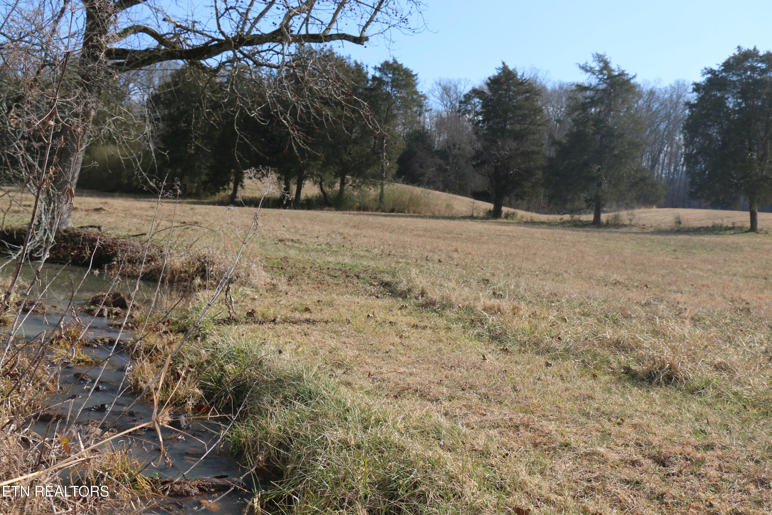 39 Highway 39 Athens, TN 37303 - Photo 24 of 25 IMG_8278