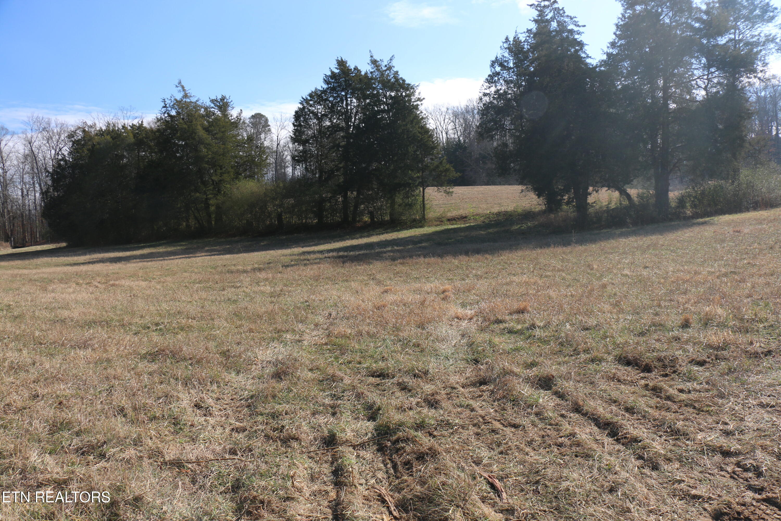 39 Highway 39 Athens, TN 37303 - Photo 4 of 25 IMG_8258