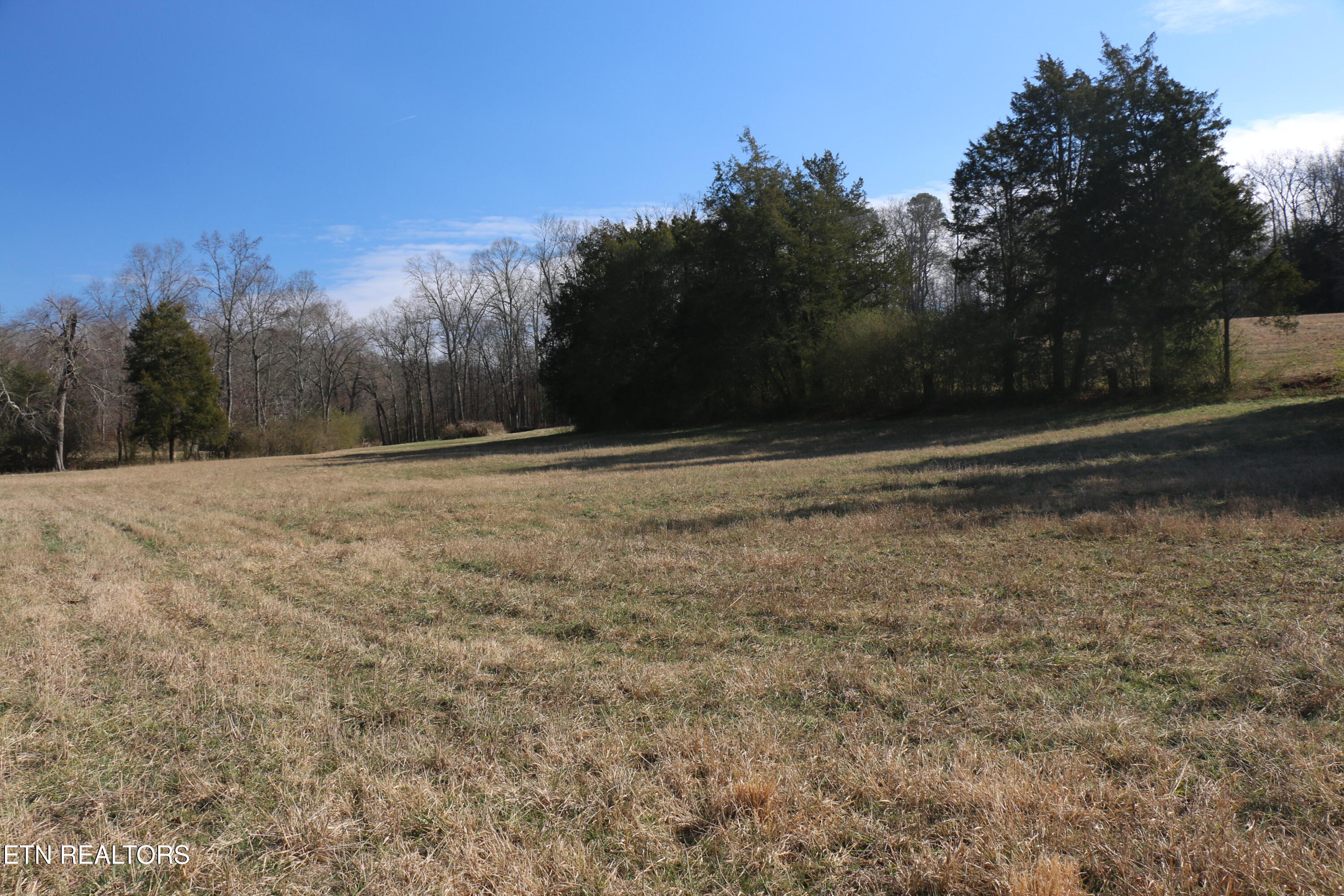 39 Highway 39 Athens, TN 37303 - Photo 5 of 25 IMG_8259