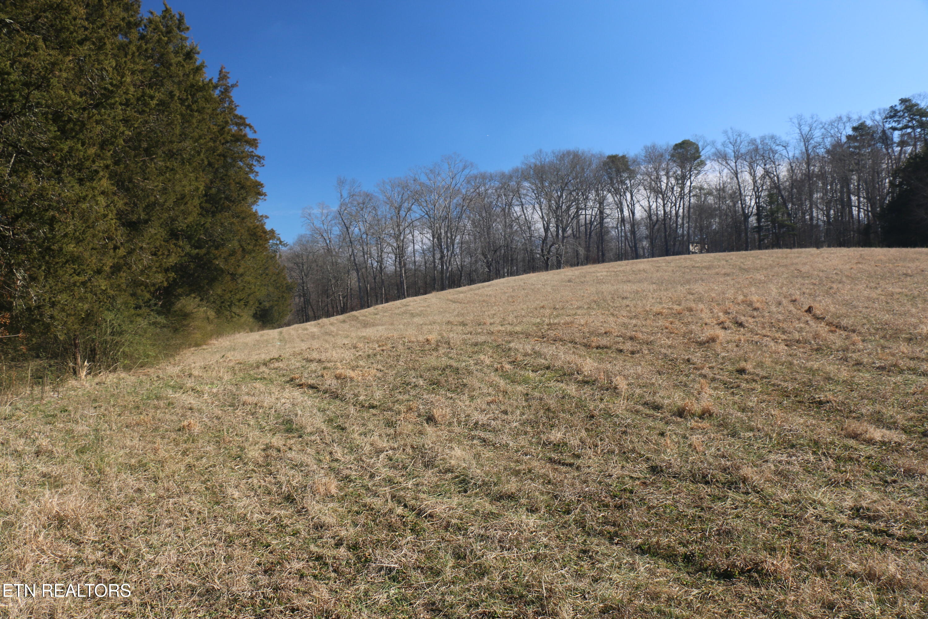 39 Highway 39 Athens, TN 37303 - Photo 6 of 25 IMG_8260
