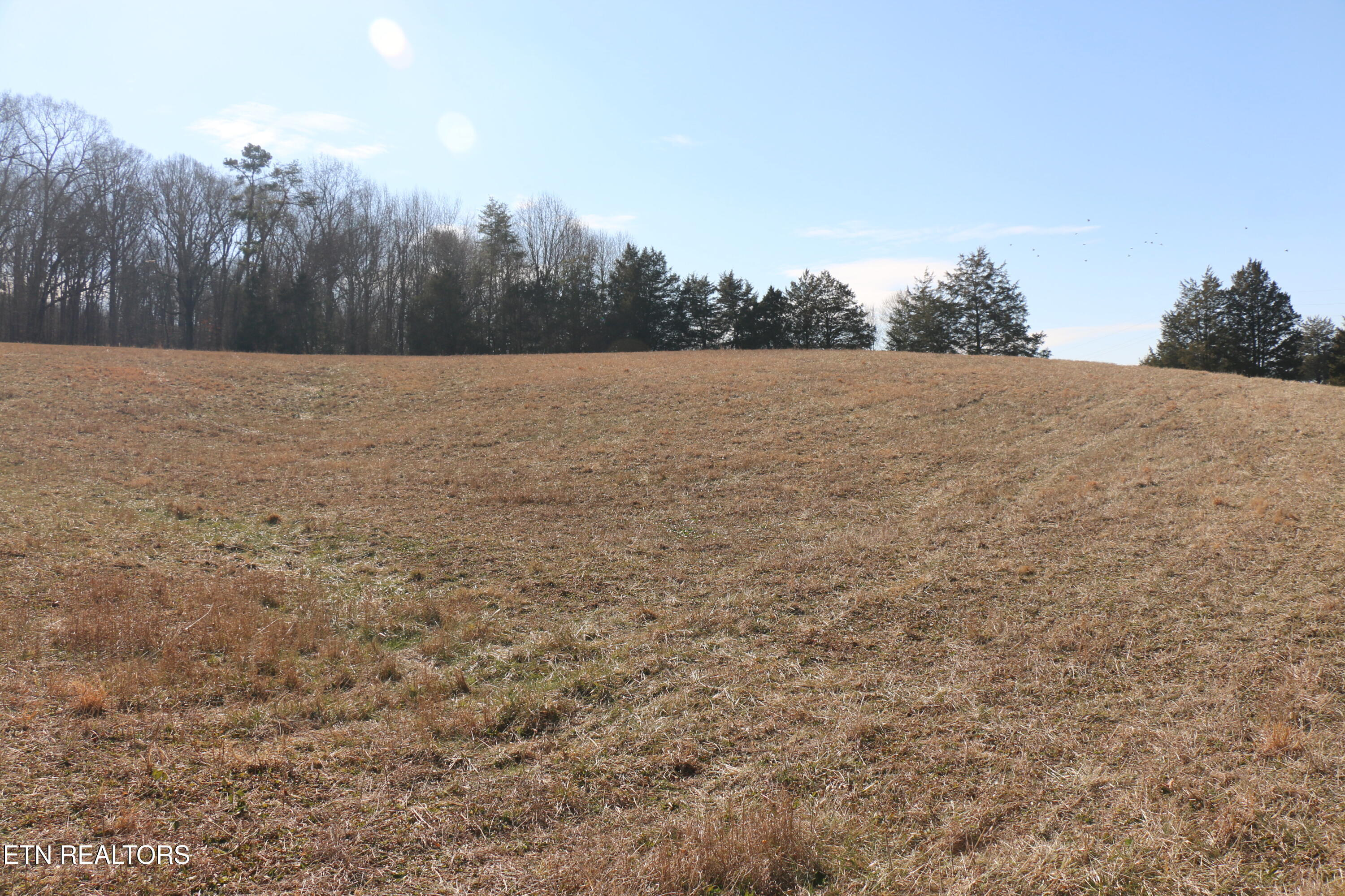 39 Highway 39 Athens, TN 37303 - Photo 7 of 25 IMG_8261