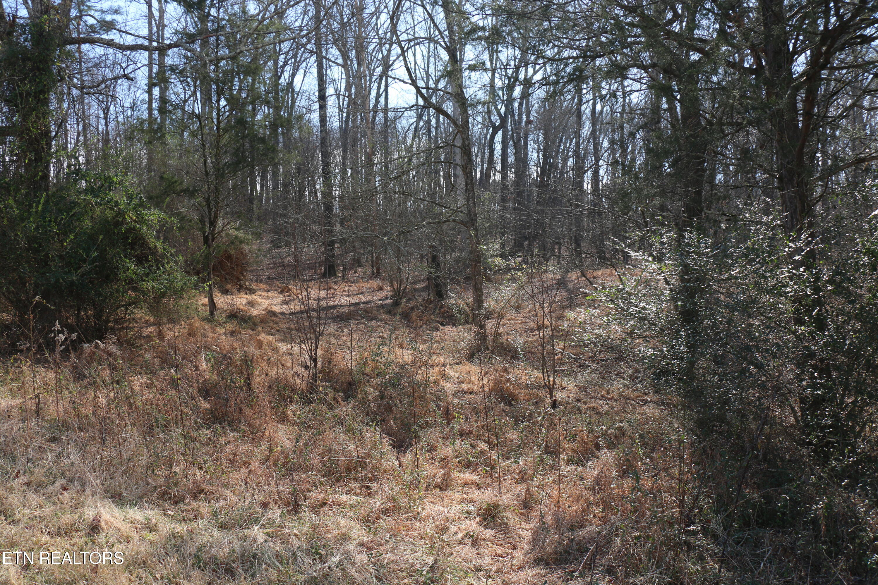 39 Highway 39 Athens, TN 37303 - Photo 9 of 25 IMG_8263