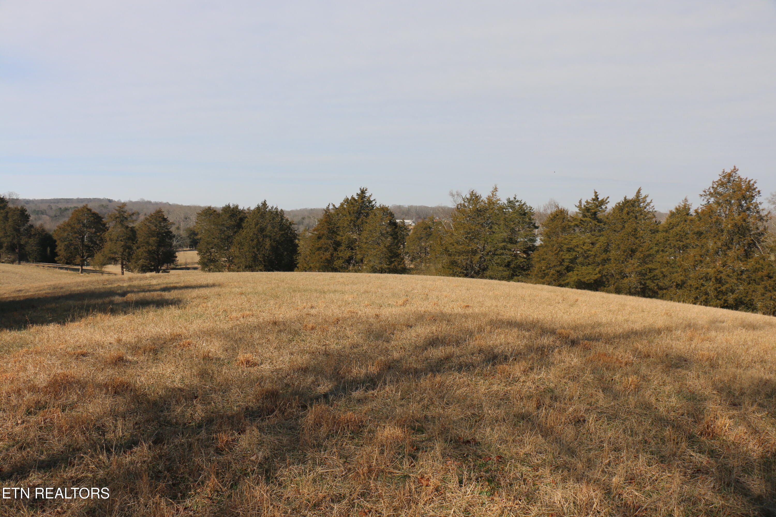 39 Highway 39 Athens, TN 37303 - Photo 10 of 25 IMG_8264