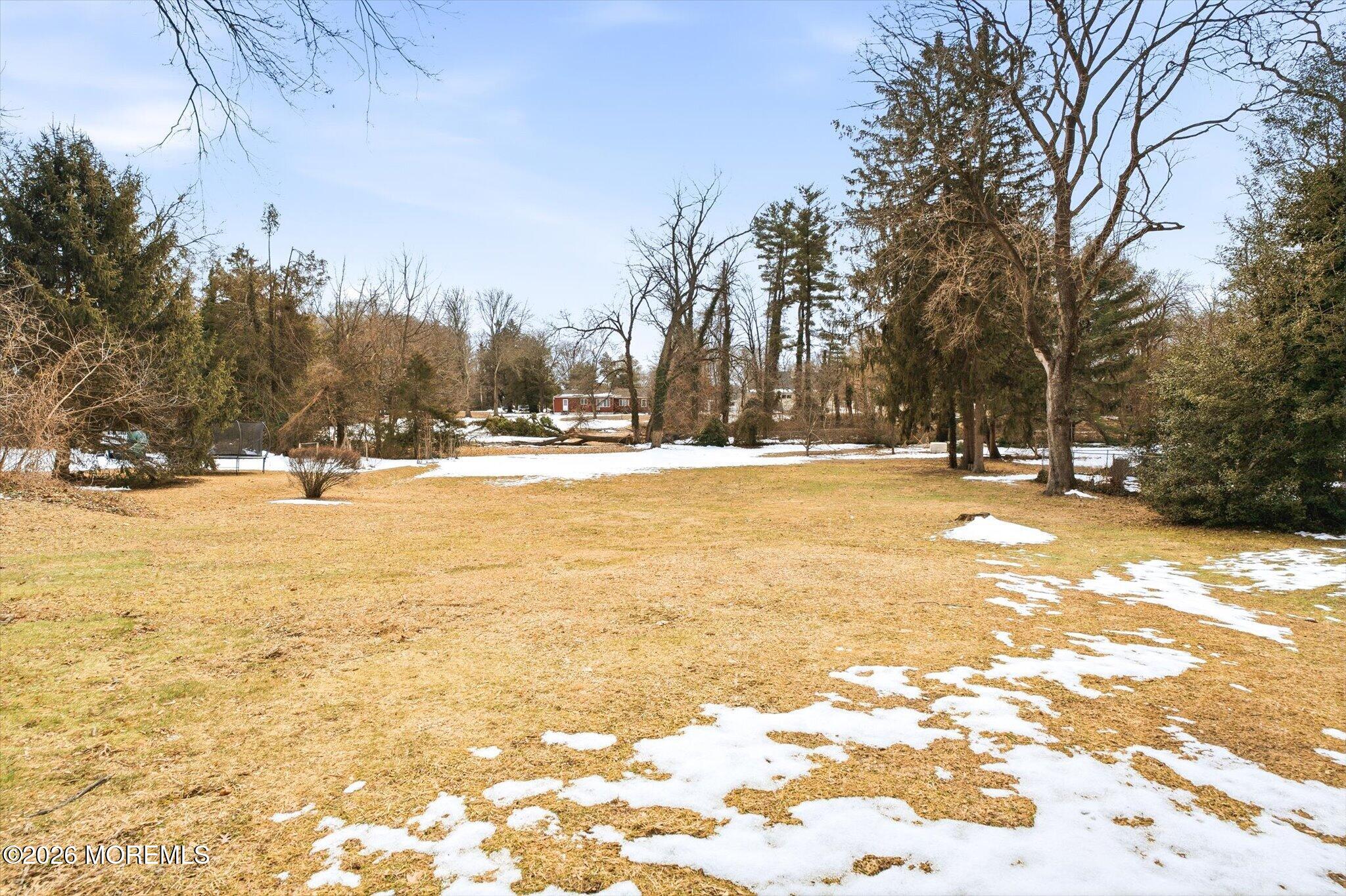 4121 Nottingham Way Hamilton, NJ 08690 - Photo 10 of 24 a view of road with trees