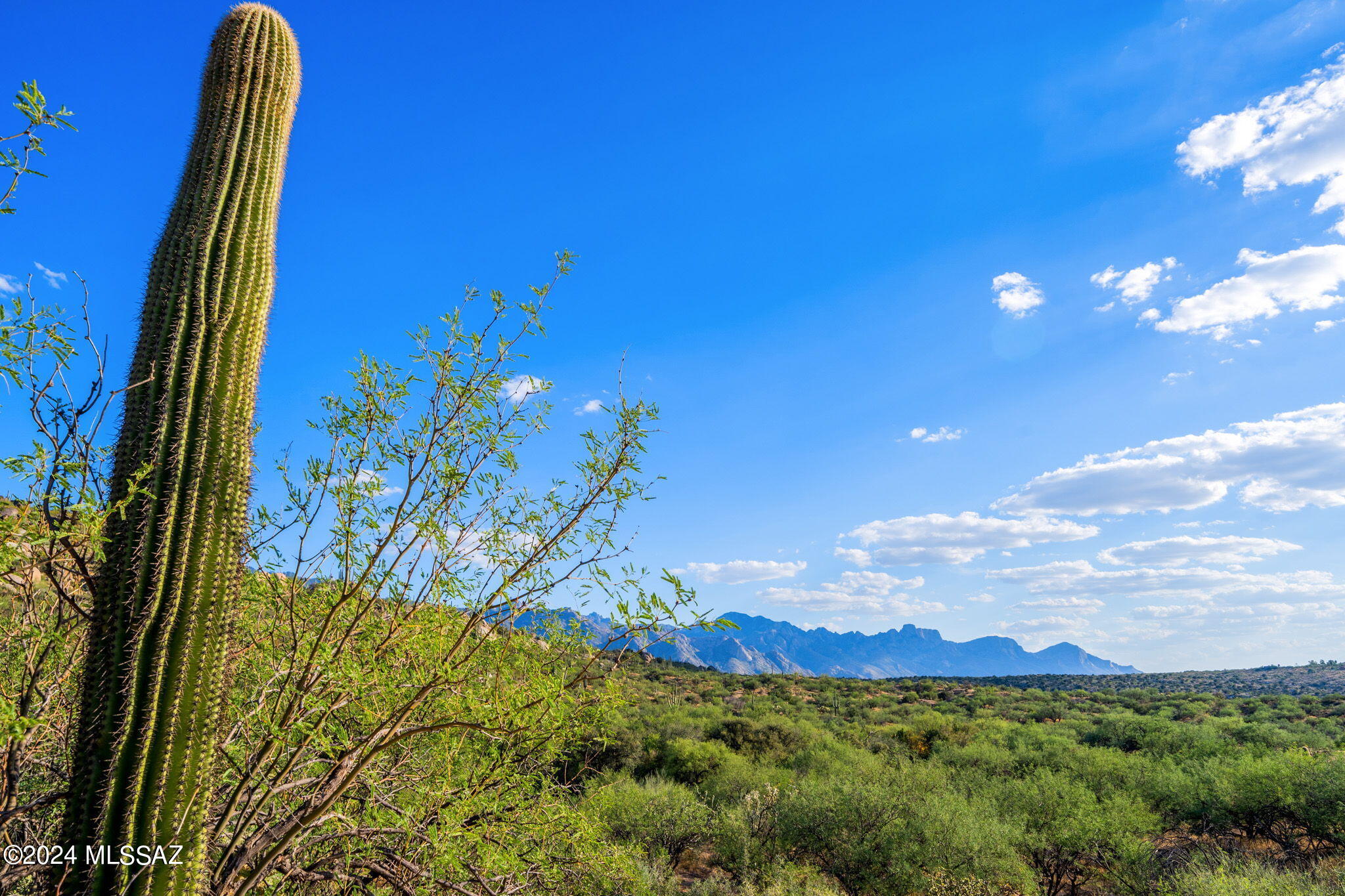 16500 North Ridge Rock Trail Tucson, AZ 85739 - Photo 25 of 29 23-web-or-mls-16500 N Ridge Rock Trail -