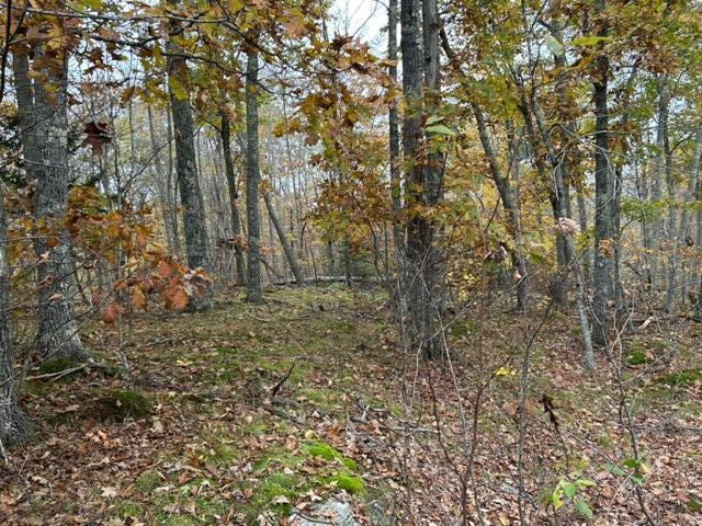 0 Swanville Road Frankfort, ME 04438 - Photo 2 of 7 image1 (21)