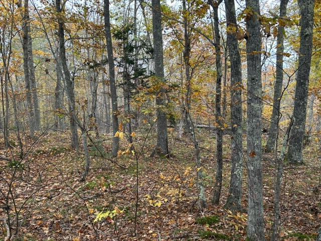 0 Swanville Road Frankfort, ME 04438 - Photo 4 of 7 image2 (5)