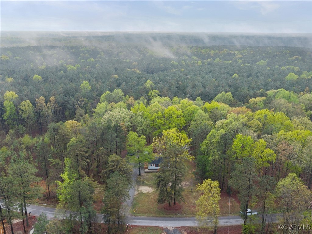 4112 Old Shore Road Blackstone, VA 23824 - Photo 28 of 31