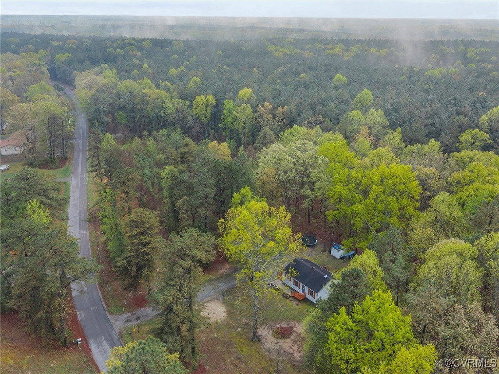 4112 Old Shore Road Blackstone, VA 23824 - Photo 29 of 31