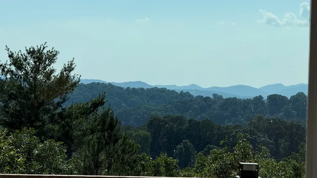 a view of backyard with cabin