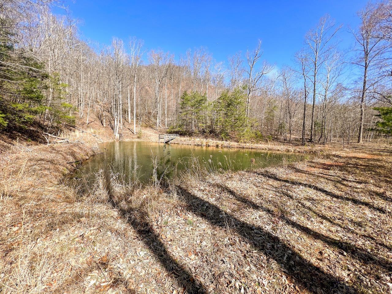 0 Brammer Spur Road Woolwine, VA 24185 - Photo 13 of 39 Gallery Image 13
