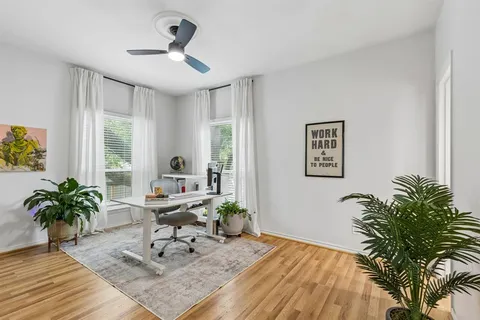 a living room with furniture and a potted plant