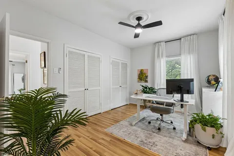 a living room with furniture and a potted plant