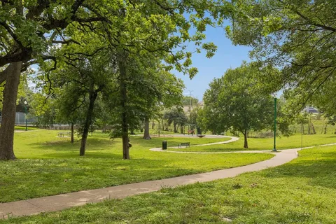 a big yard with lots of trees