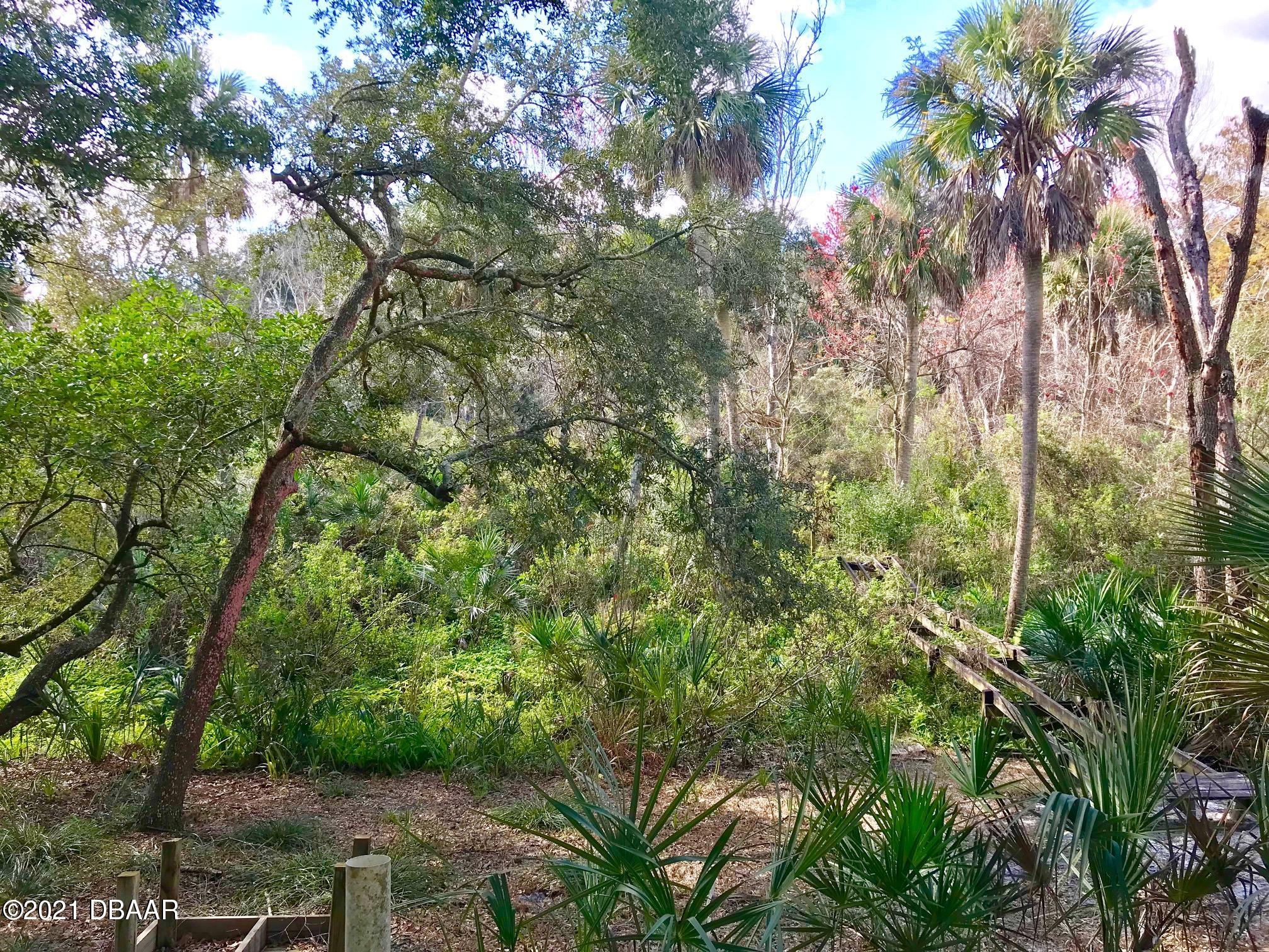 Lot 30 Hawks Ridge Road Port Orange, FL 32127 - Photo 13 of 13 current view of lot