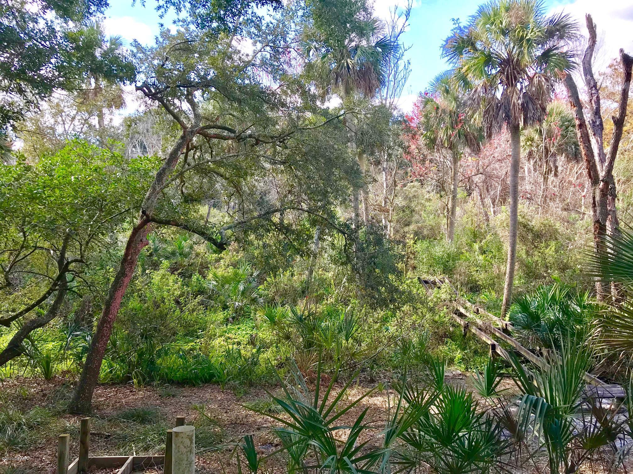 Lot 30 Hawks Ridge Road Port Orange, FL 32127 - Photo 2 of 13 current view of lot