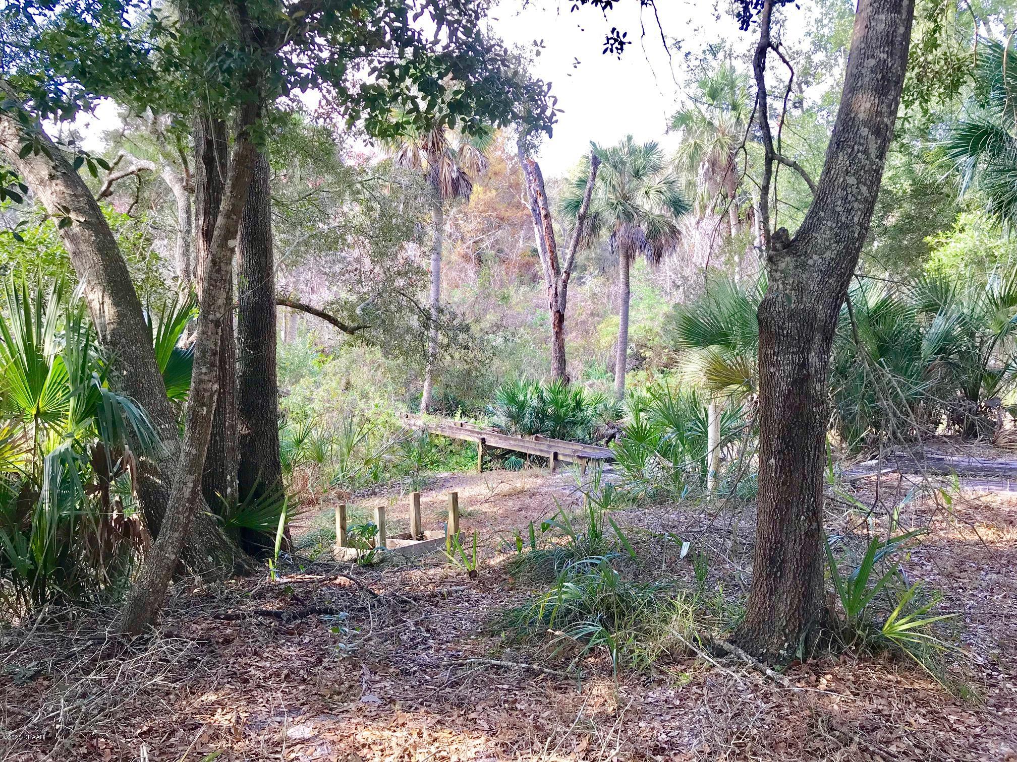 Lot 30 Hawks Ridge Road Port Orange, FL 32127 - Photo 4 of 13 current view of boardwalk