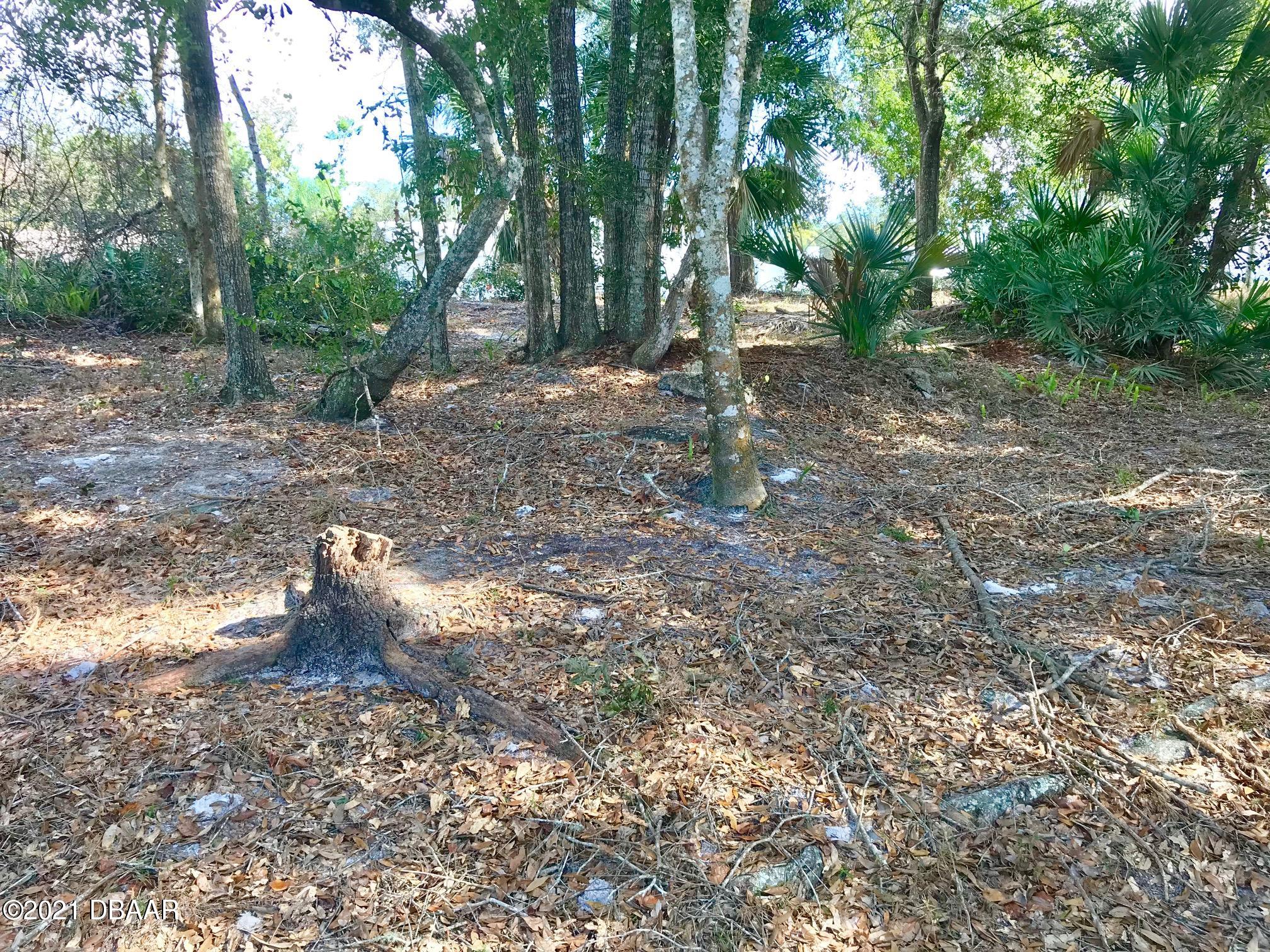 Lot 30 Hawks Ridge Road Port Orange, FL 32127 - Photo 8 of 13 current lot - Copy