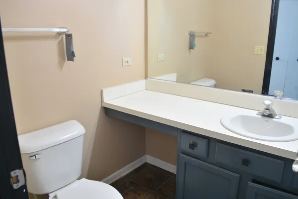a bathroom with a sink and a toilet