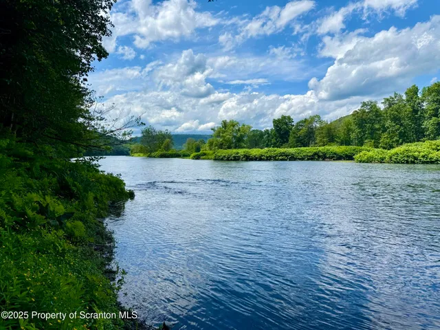 a view of a garden with a yard